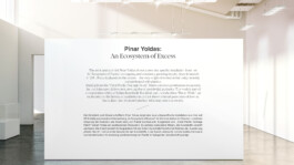 Senckenberg Corporate Typeface 