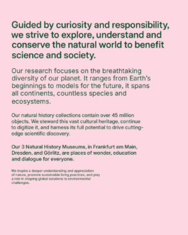 Senckenberg Corporate Typeface Sans Serif