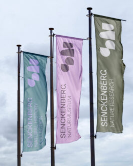 Senckenberg, Flags 