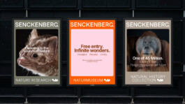 Senckenberg Layout System Advertising 