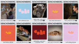 Senckenberg Layout System Advertising 