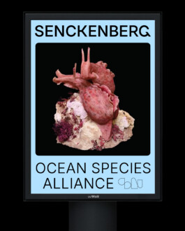 One Moment, Elsewhere