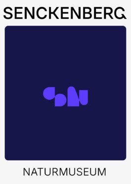 Senckenberg Logo Play