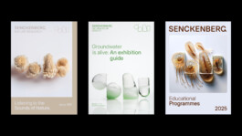 Senckenberg Literature