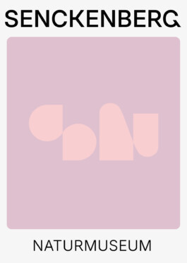 Senckenberg Logo Play