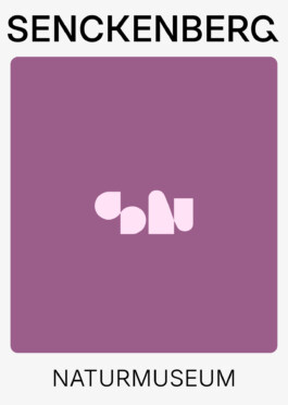 Senckenberg Logo Play