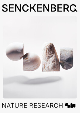 Senckenberg Logo Play