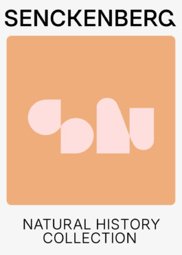 Senckenberg Logo Play