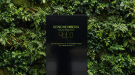 Senckenberg, Signage 