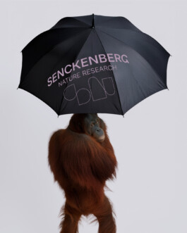 Senckenberg Merch Umbrella 