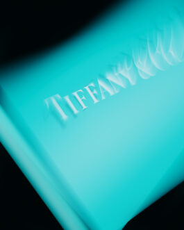 Artwork of the Tiffany Blue Box by Jens Mennicke