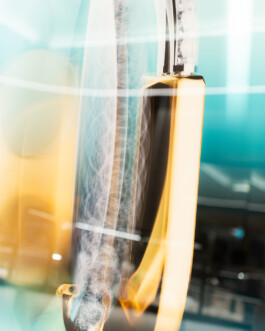 Tiffany Exhibition Event