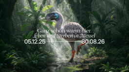 Senckenberg Museum Messel Campaign 