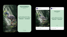 Senckenberg Museum Messel Campaign 