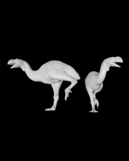 Senckenberg Museum Messel Making of